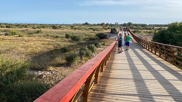 España Directo - España Directo - 29/09/20