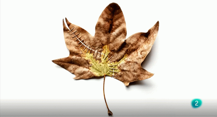 La aventura del Saber - Boek visual: Nando Esteva