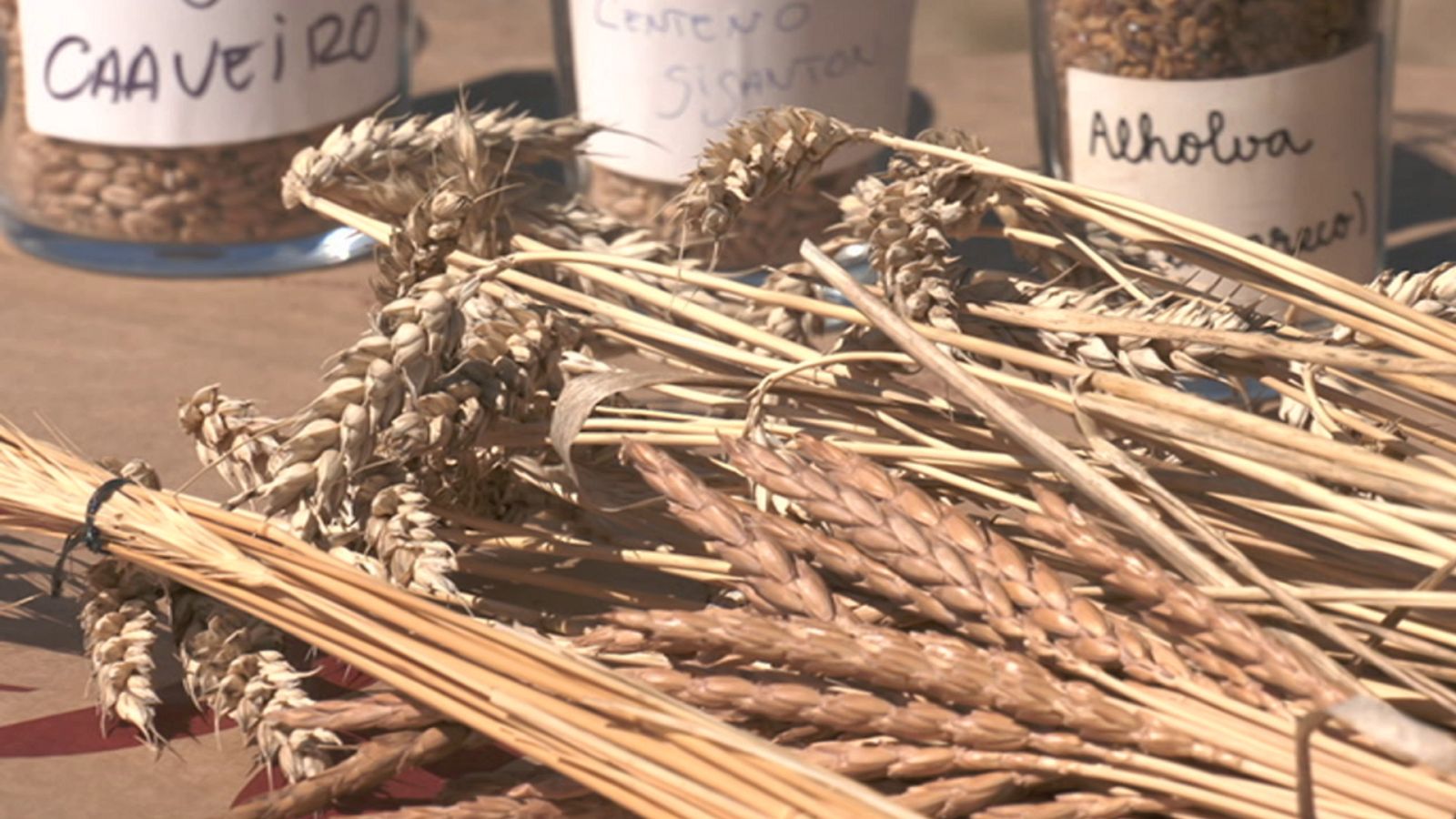 Como Sapiens - Programa 5: En harina - ver ahora