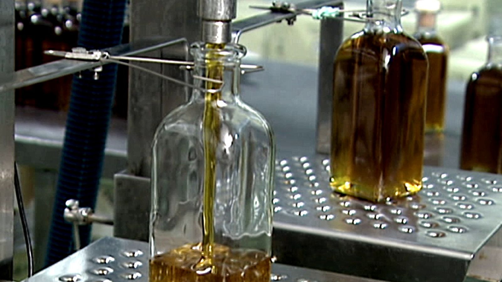 Agrosfera - 03/10/20 - ver ahora