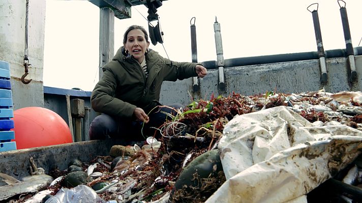 Reduce tu huella - La bolsa o la vida