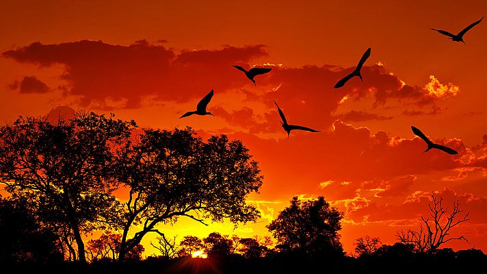 Paraísos cercanos - Sudáfrica, el país del arco iris