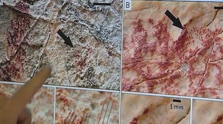 Telediario 1 - Pinturas ruprestes de dedos femeninos en Granada