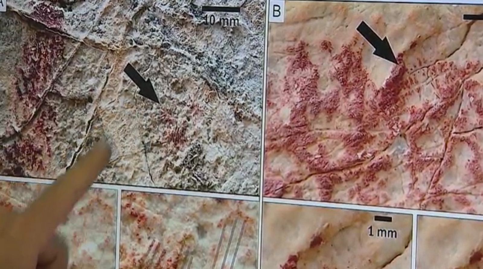 Pinturas ruprestes de dedos femeninos en Granada | Ver