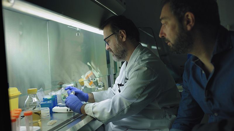 El cazador de cerebros - Las pandemias que vienen - ver ahora