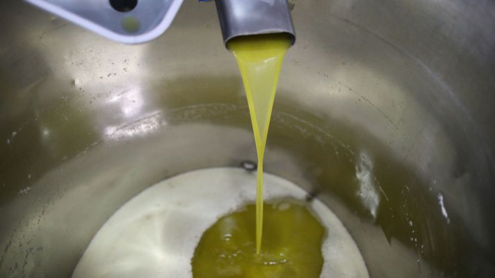 Noticias de Castilla-La Mancha - Una almazara de Valdepeñas, referente de igualdad en el sector olivarero