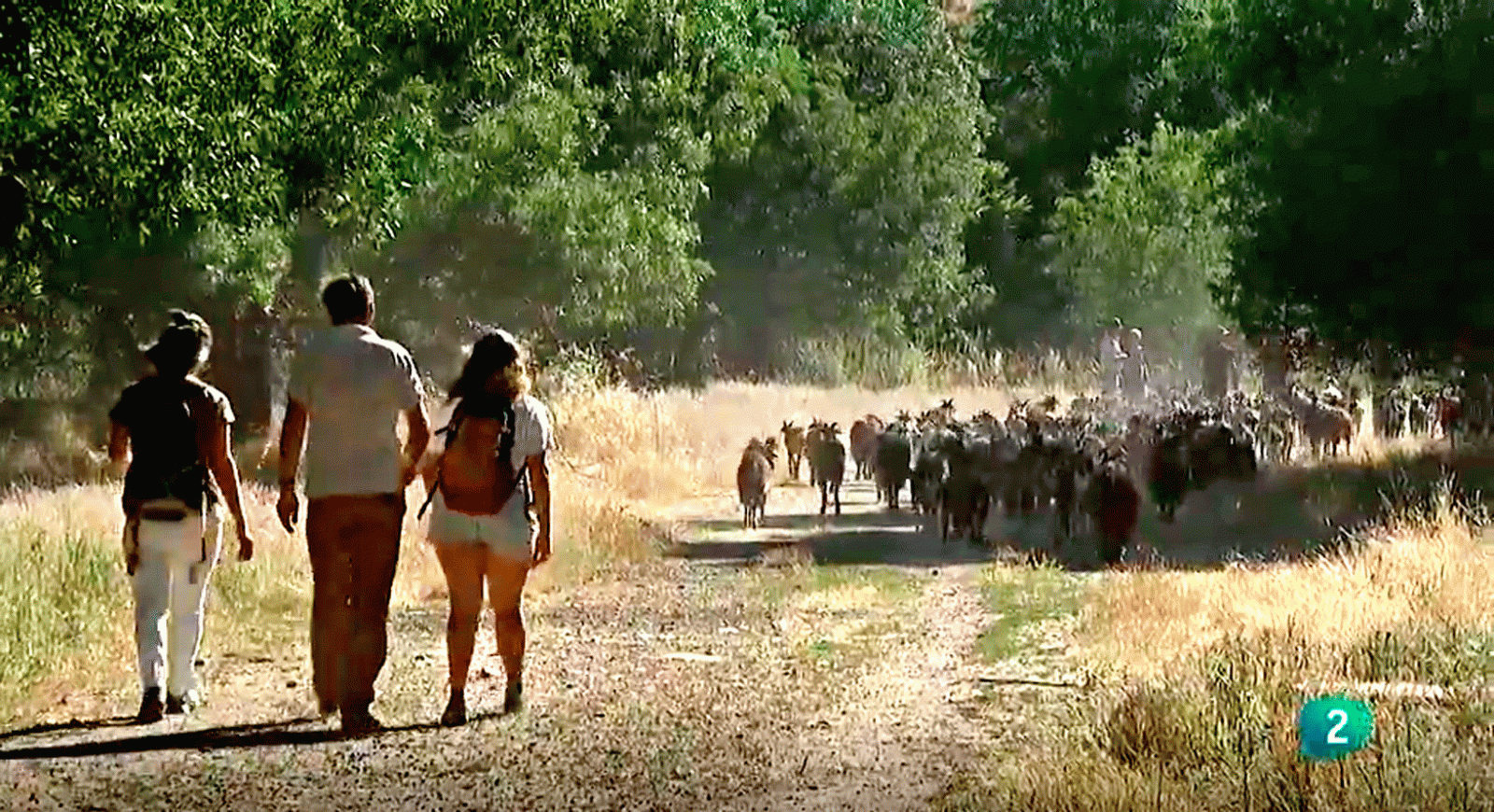 La aventura del saber Escuela pastores Campo Adentro