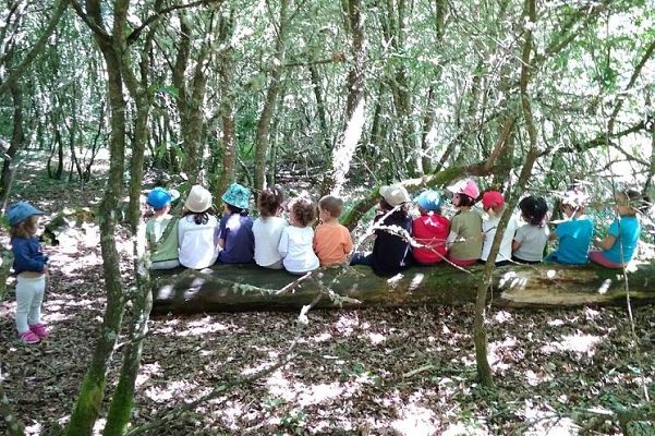 Para todos La 2 - Las Escuelas Bosque, aprender en la naturaleza