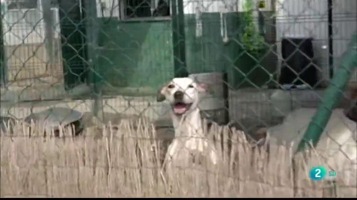 La Metro - La protectora d'animals de Mataró