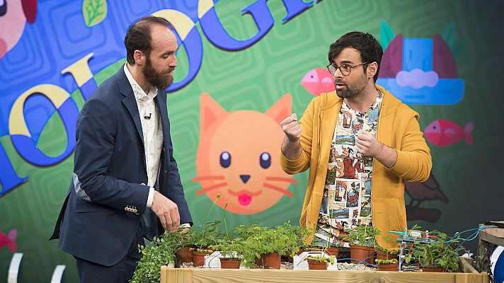 Órbita Laika - Biología con Ricardo Moure - Las plantas sienten