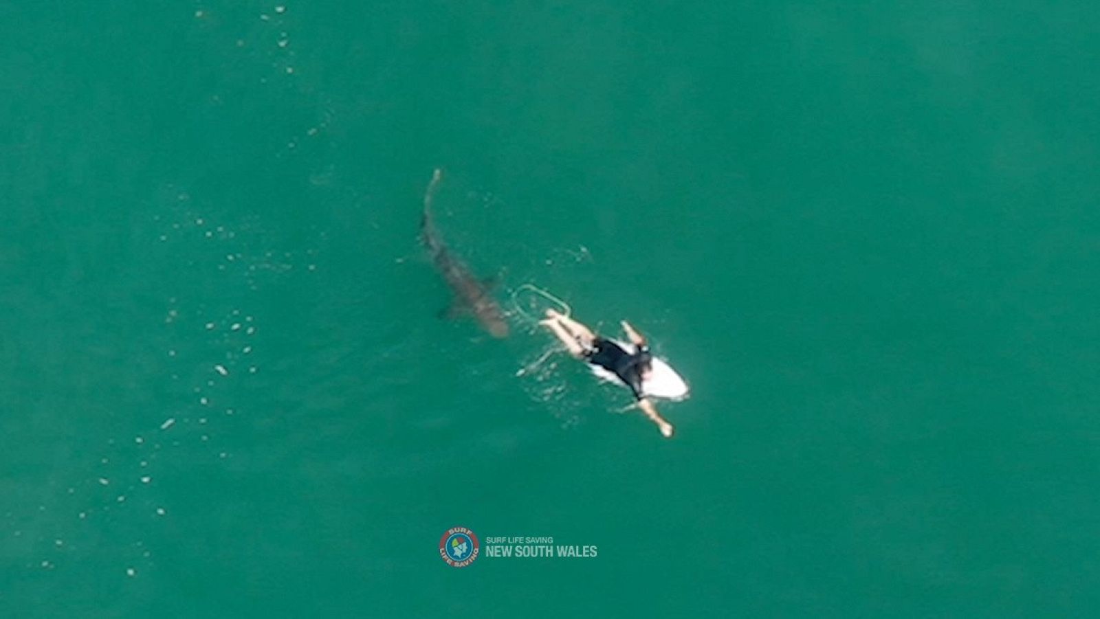 Un dron avisa de la presencia de tiburones a los surfistas en Australia | Ver