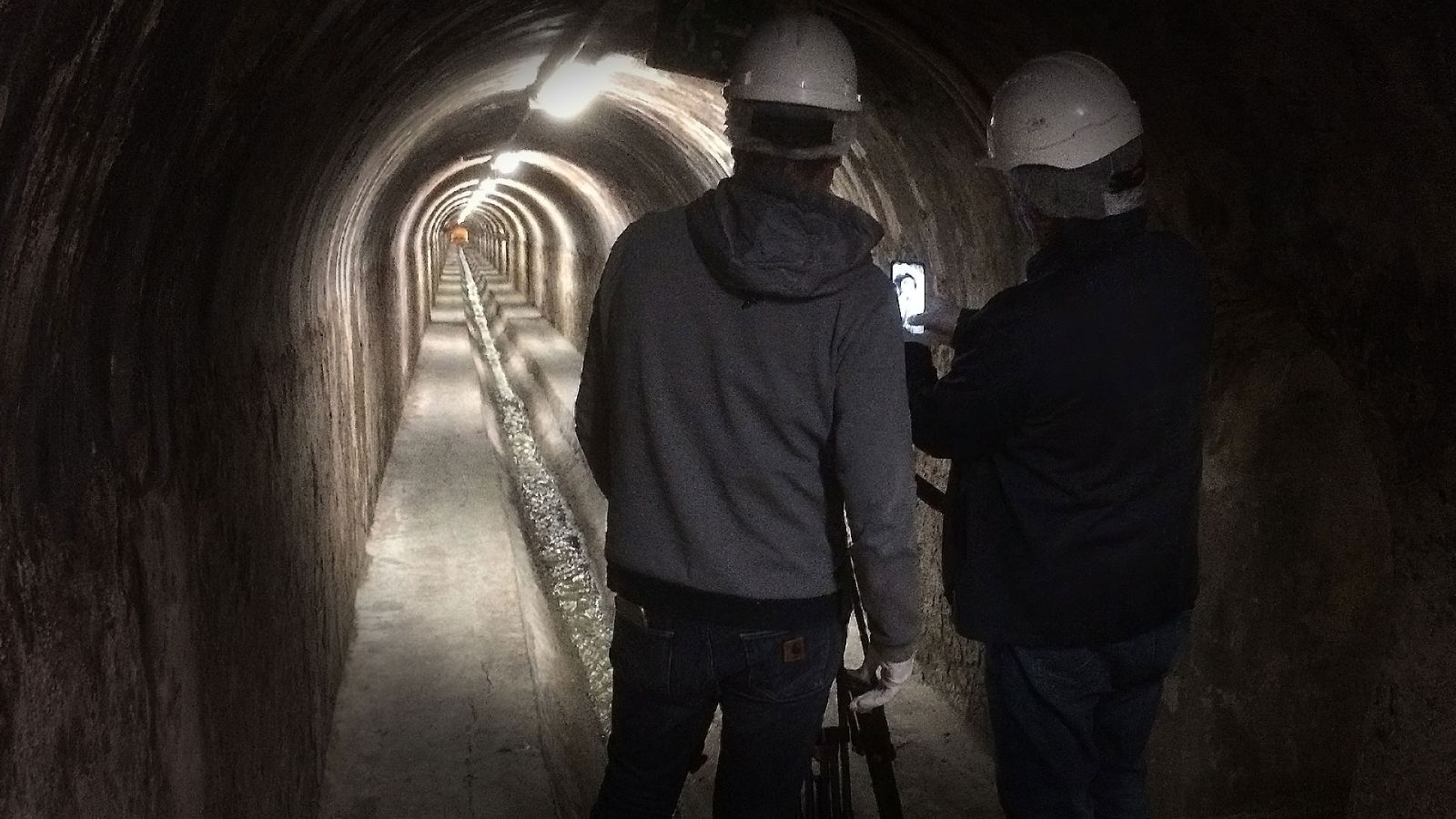 El escarabajo verde - Detritus antrópicus (parte 2) - ver ahora