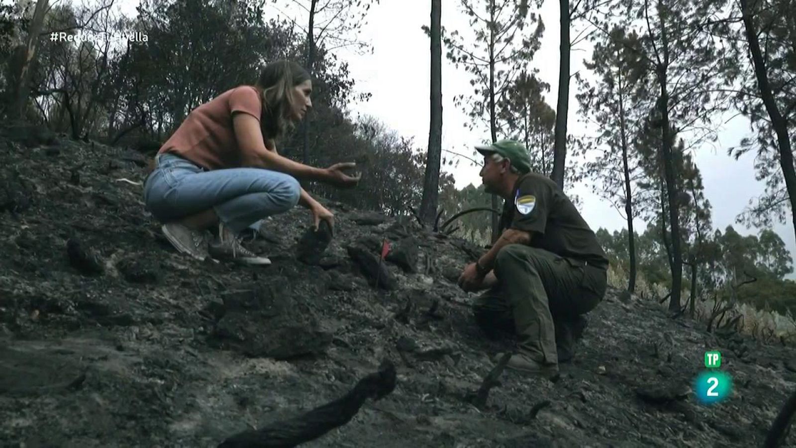 Reduce tu huella - Cuando el bosque habla - ver ahora