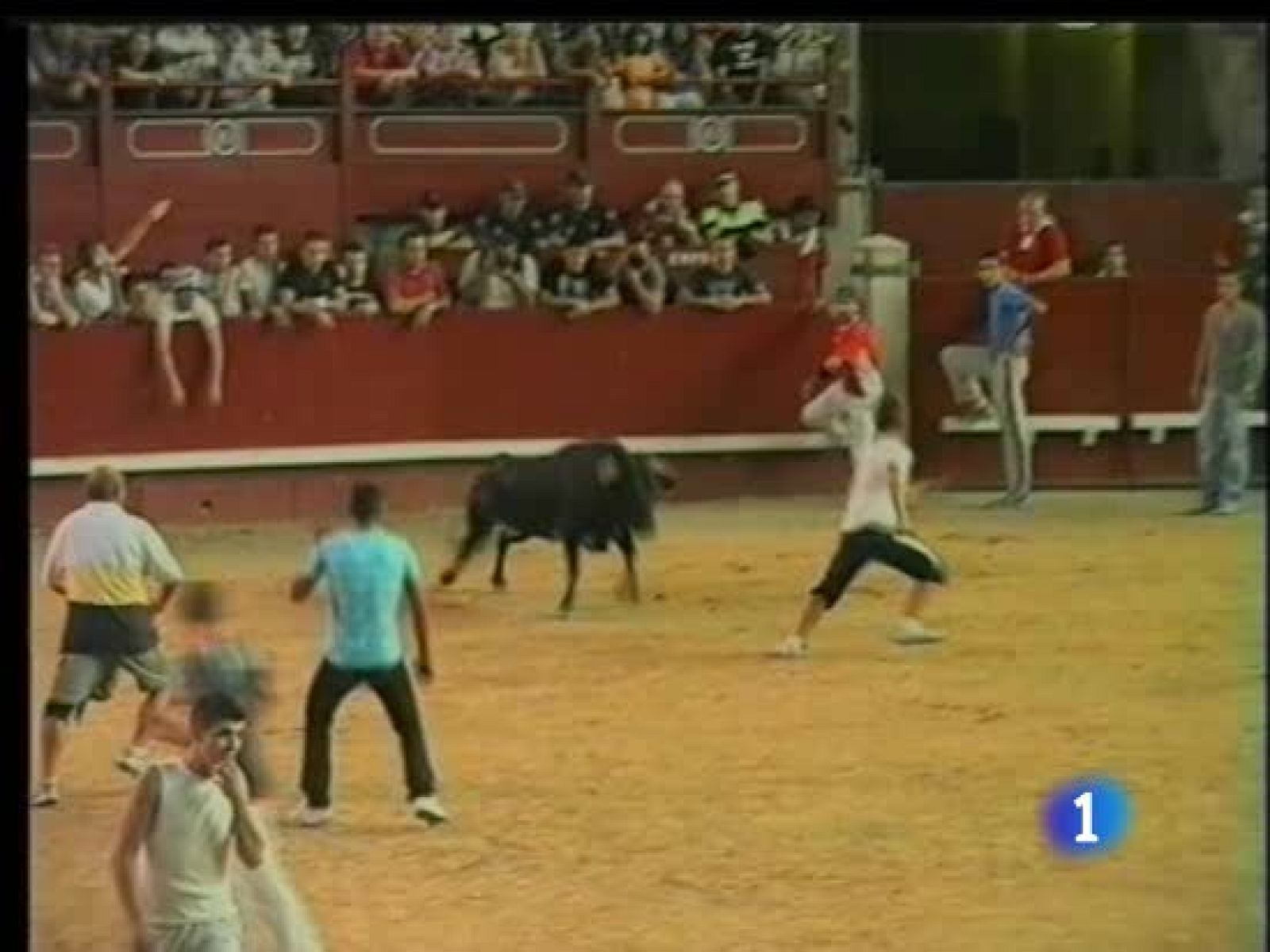 Los festejos taurinos han dejado este fin de semana un balance trágico | Ver