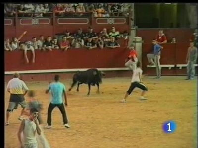 Los festejos taurinos han dejado este fin de semana un balance tr�gico | Ver