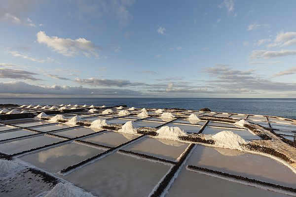 Aquí la Tierra - Chiclana de la Frontera tiene una tradición muy 'salá'