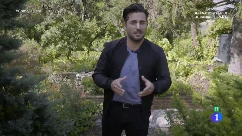 David Bustamante nos cuenta qué alimentos son buenos para cantar