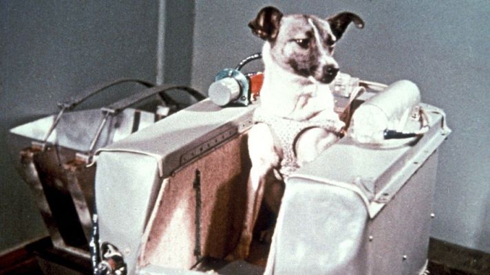  - Aquellos perros astronautas rusos