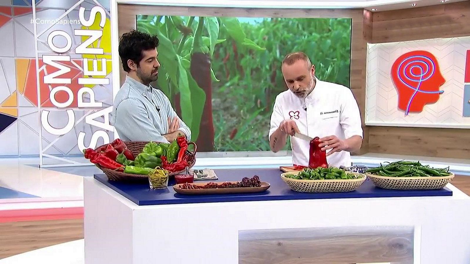 Como Sapiens - Programa 12: All Stars: pimientos, pan y legumbres - ver ahora