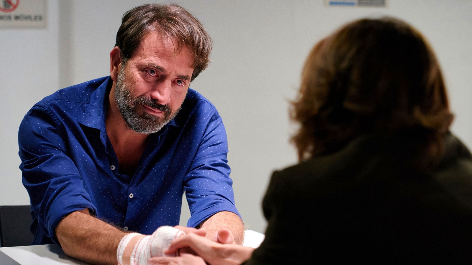 Mercado central - Capítulo 253 - ver ahora