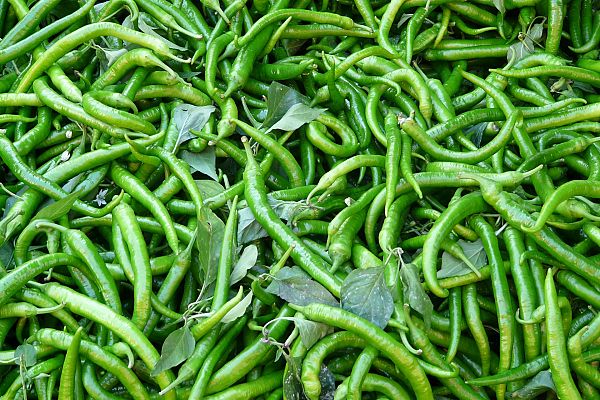 Aquí la Tierra - Piparra encurtida, una guindilla típica de Bilbao