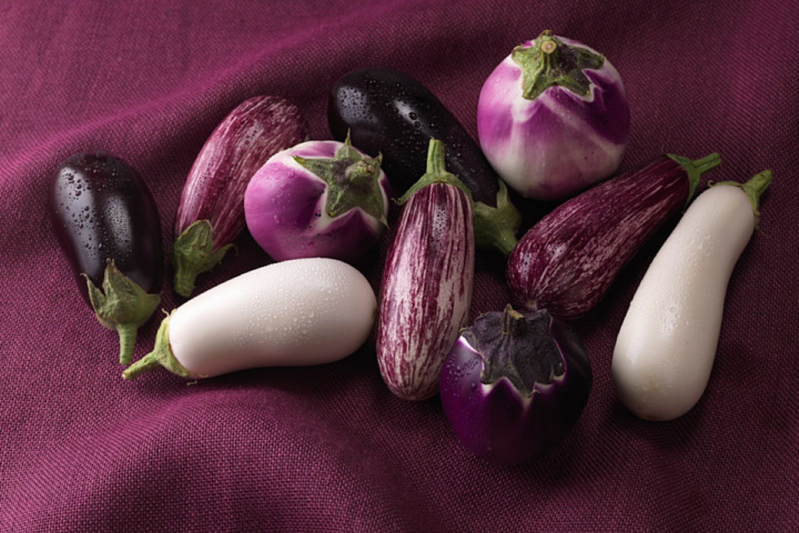 Aquí la Tierra - Las berenjenas tricolores de Chinchón