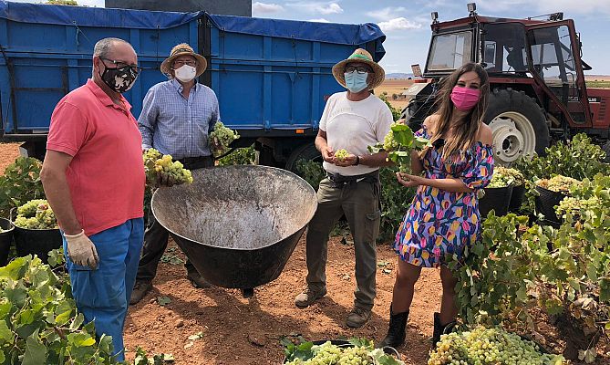 Aquí la Tierra - ¡Unos hermanos con muy buena uva!