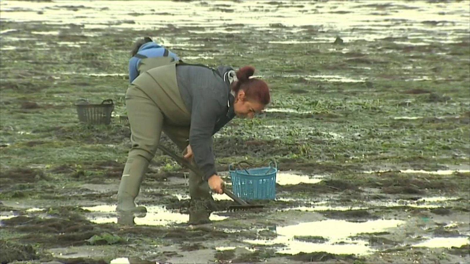 Agrosfera - 17/10/20 - ver ahora