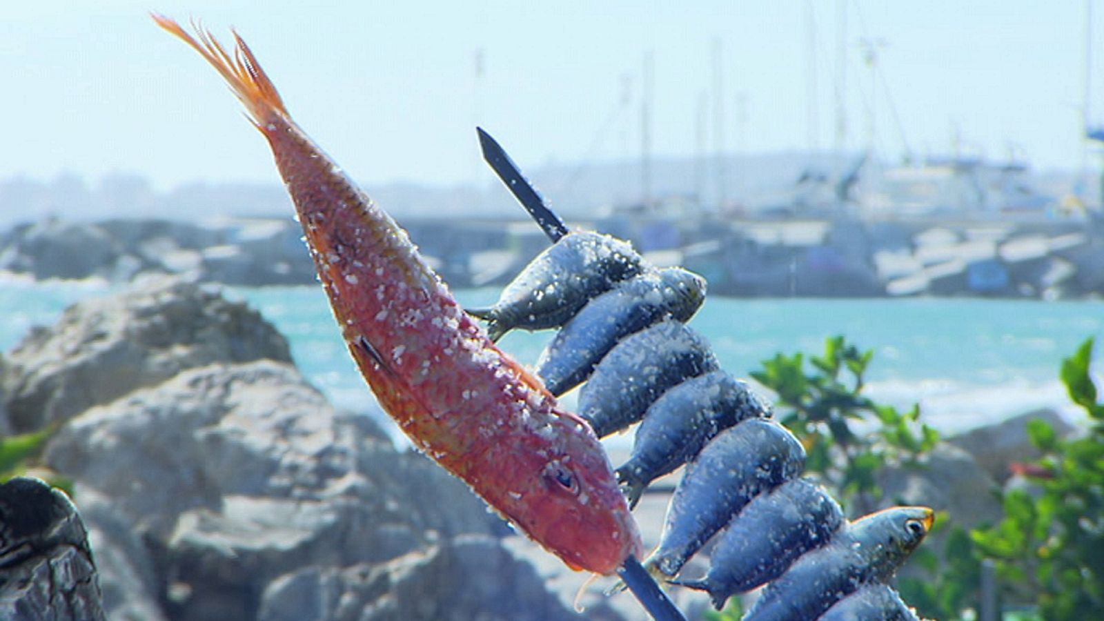 Zoom tendencias - La Axarquía malagueña, buena vida - ver ahora