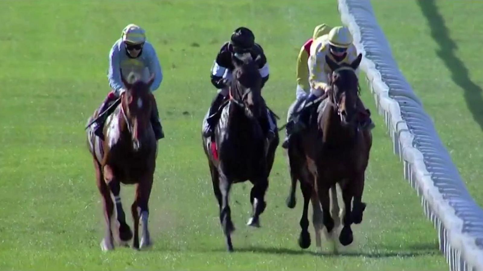 Hípica - Circuito nacional de carreras de caballos, desde el Hipódromo de La Zarzuela  - ver ahora
