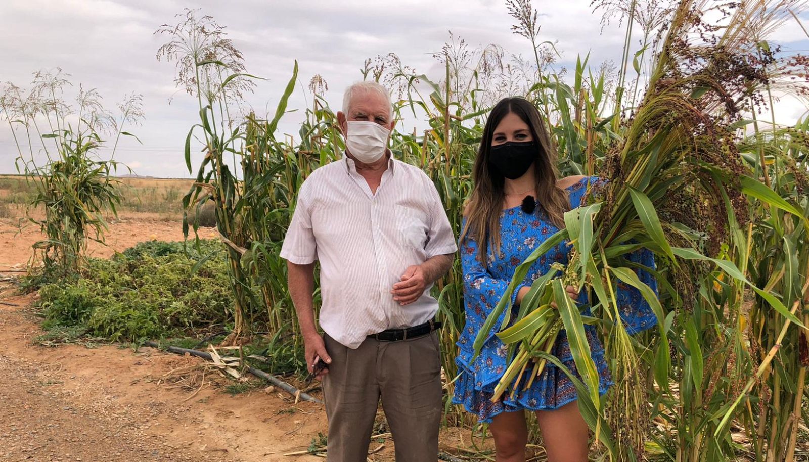 Aquí la Tierra - El mijo, la escoba de Castilla-La Mancha