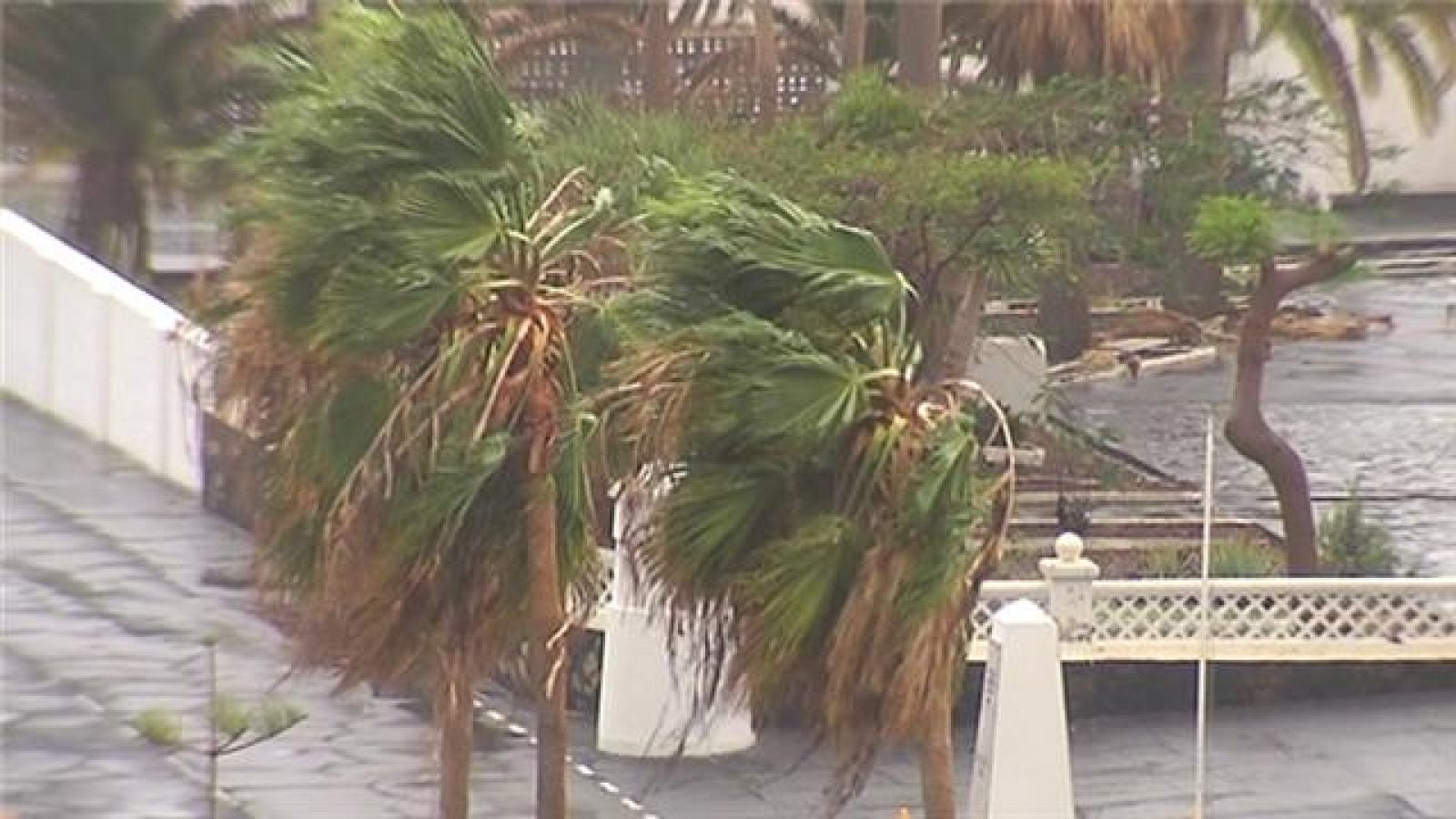 Canarias en 2' - 20/10/2020