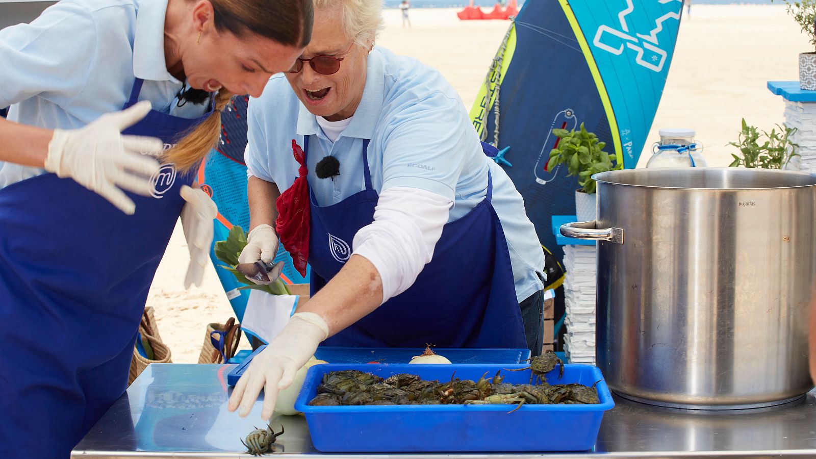 Lucía y Laura se enfrentan a los cangrejos | Ver