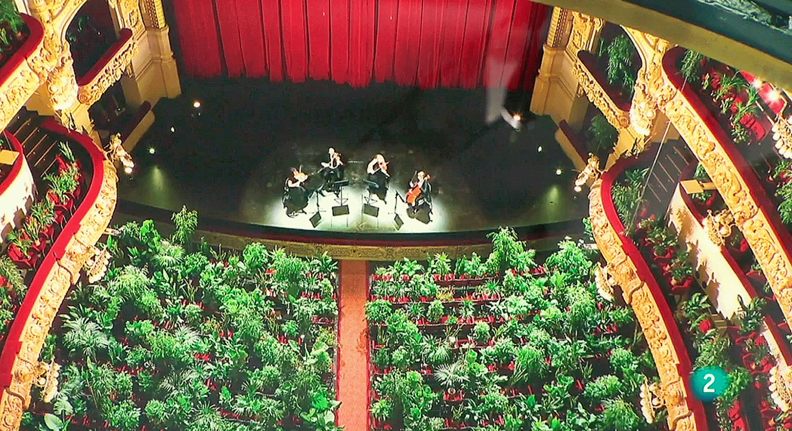 La aventura del saber La razon es una planta Arte de accion Eugenio Ampudia Liceo de Barcelona #AventuraSaberArte