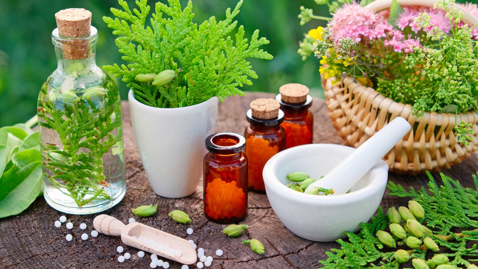 Científicos y médicos se plantan contra las pseudoterapias - RTVE.es - Telediario 1 | Ver