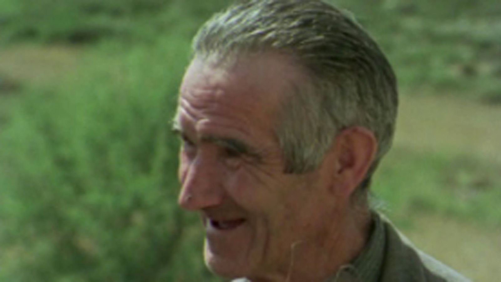 Raíces - Bureo en una masía morellana - Raíces | Ver