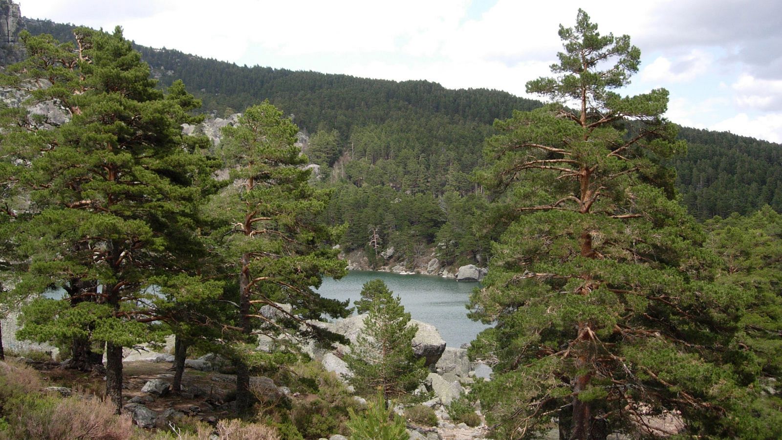 Vuelta 2020 | Los ciclistas, camino Soria | Ver