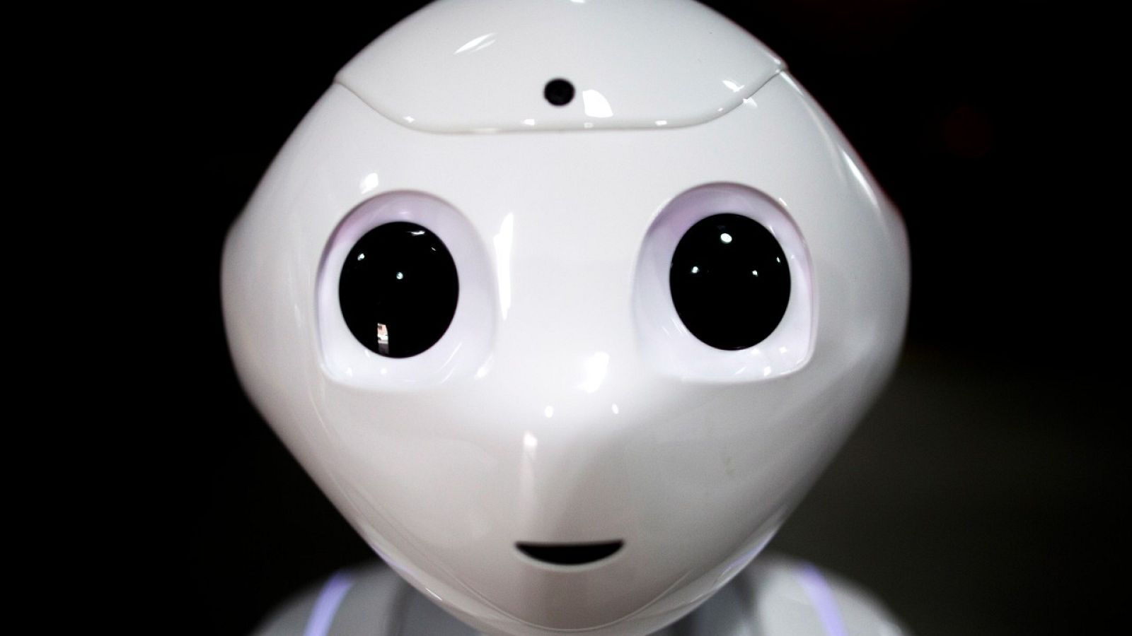 Los robots ocuparán la mitad del empleo en 2025 | Ver