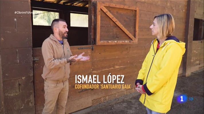 Obrim fil - Ana Boadas visinta la Fundación Santuario Gaia