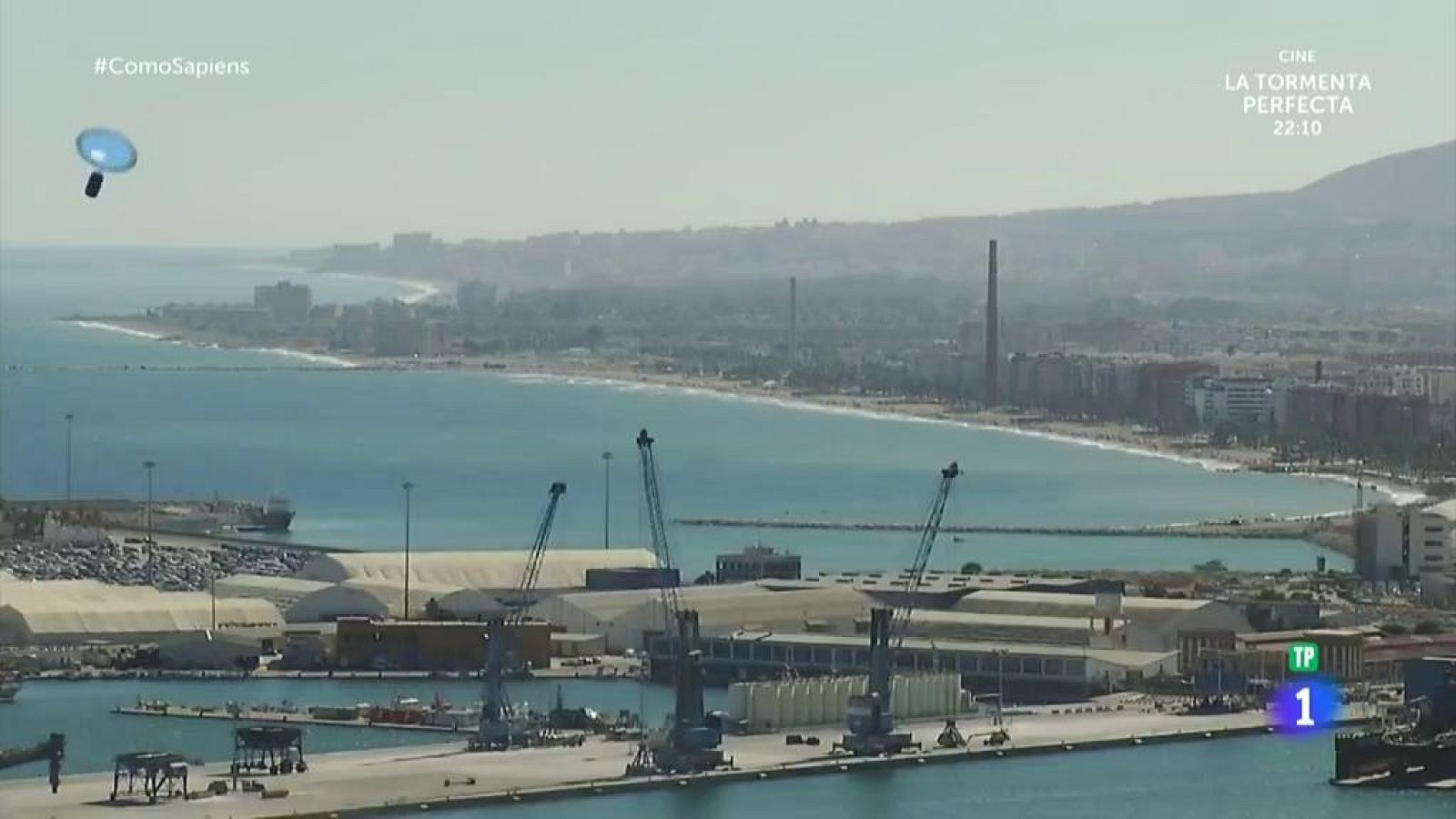 Celia Villalobos nos enseña cómo se tienen que abrir las ostras | Ver