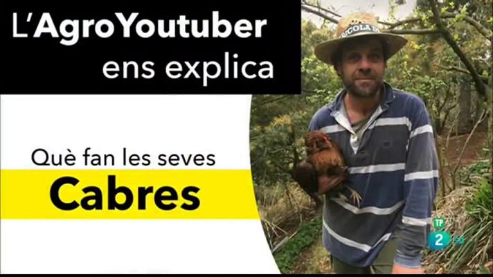 La Metro - Pagès youtuber i control de mosquits