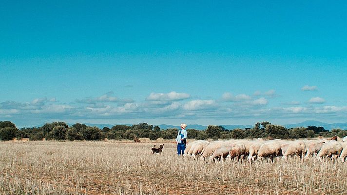 Días de cine - 'Meseta'