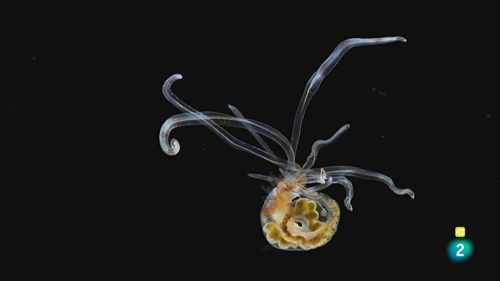 Another Way Film Festival