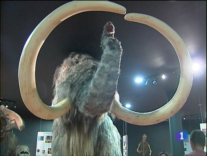 Panorama regional - 19/08/09 - Panorama Regional | Ver