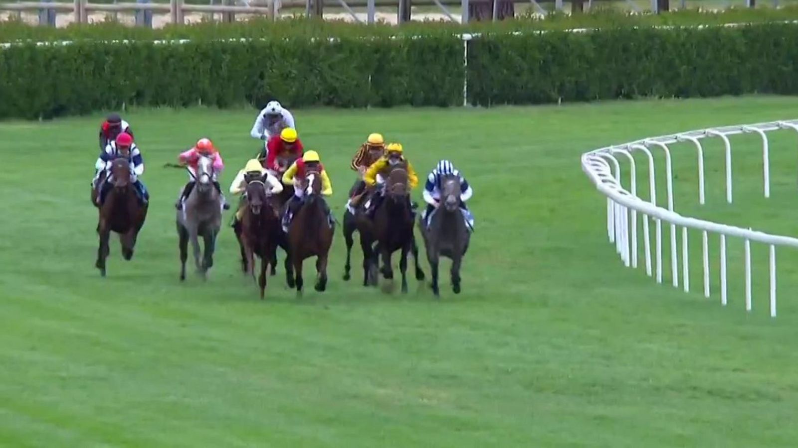 Hípica - Circuito nacional de carreras de caballos. Desde el hipódromo de La Zarzuela (Madrid) - ver ahora