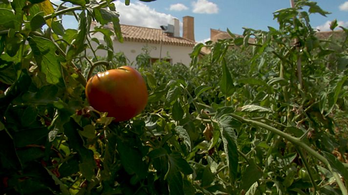 Aquí la Tierra - Aquí la Tierra - 25/10/20