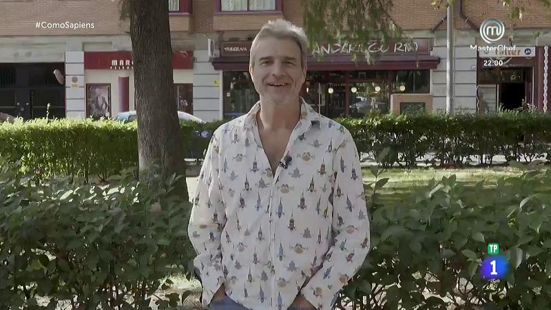 El actor Alberto San Juan nos desvela sus platos favoritos | Ver