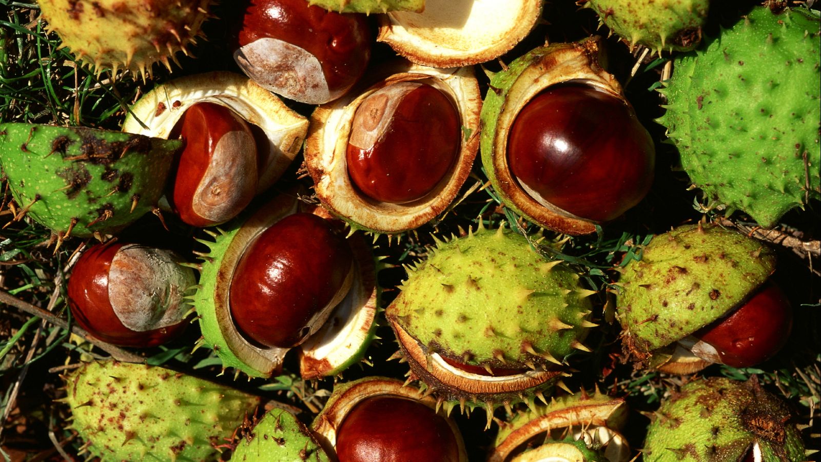 Aquí la Tierra - 27/10/20 - ver ahora