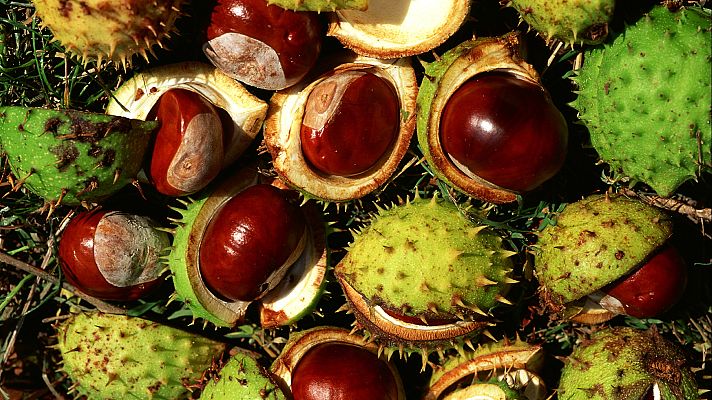 Aquí la Tierra - Aquí la Tierra - 27/10/20