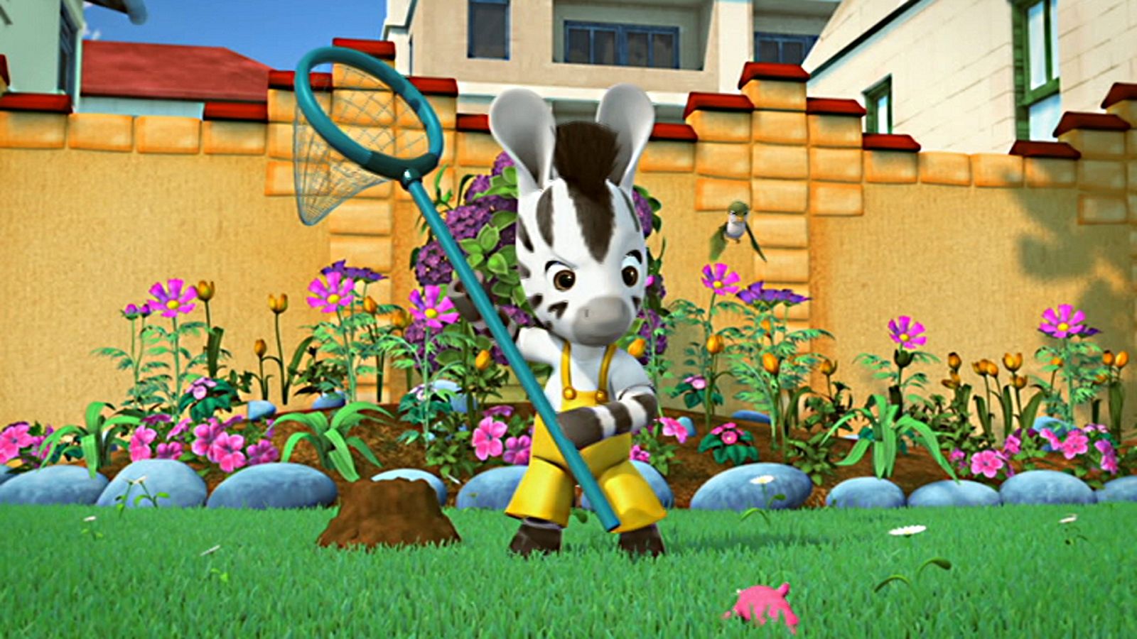 Zou - Zou, monitor deportivo - RTVE.es - Zou | Ver